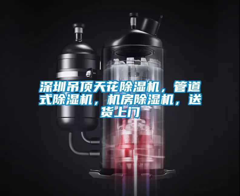 深圳吊頂天花除濕機(jī)，管道式除濕機(jī)，機(jī)房除濕機(jī)，送貨上門