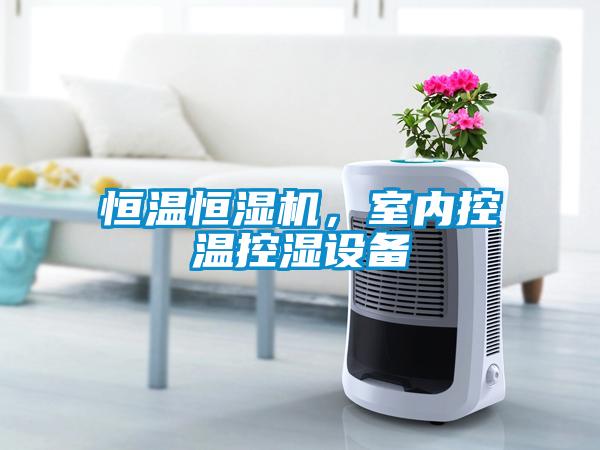 恒溫恒濕機(jī)，室內(nèi)控溫控濕設(shè)備