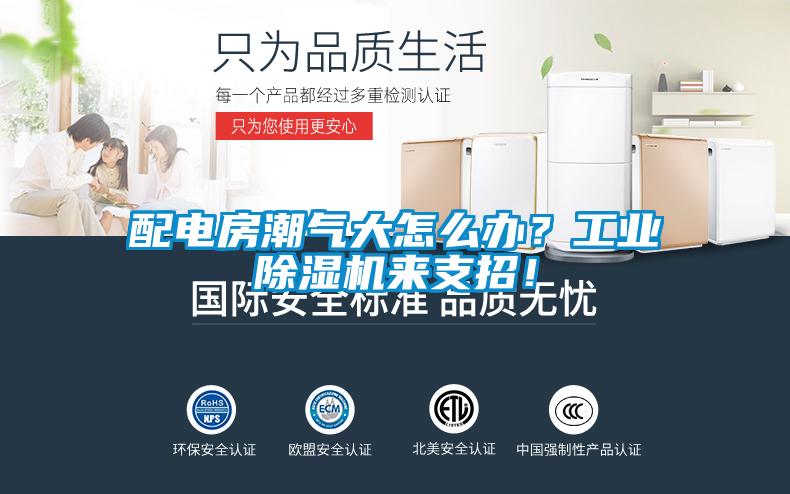 配電房潮氣大怎么辦？工業(yè)除濕機(jī)來支招！