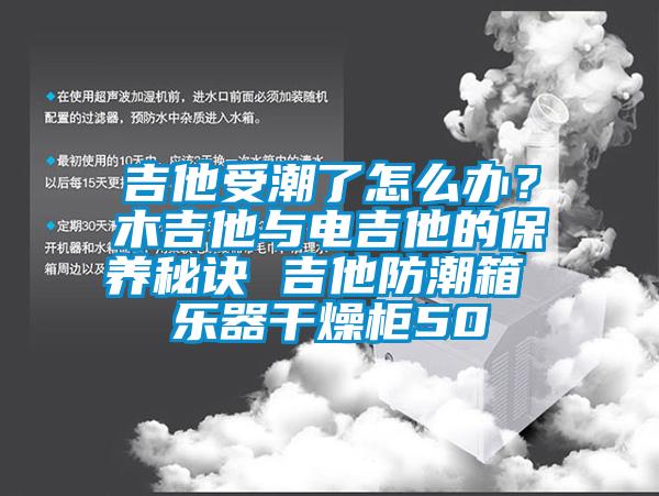 吉他受潮了怎么辦？木吉他與電吉他的保養(yǎng)秘訣 吉他防潮箱 樂(lè)器干燥柜50