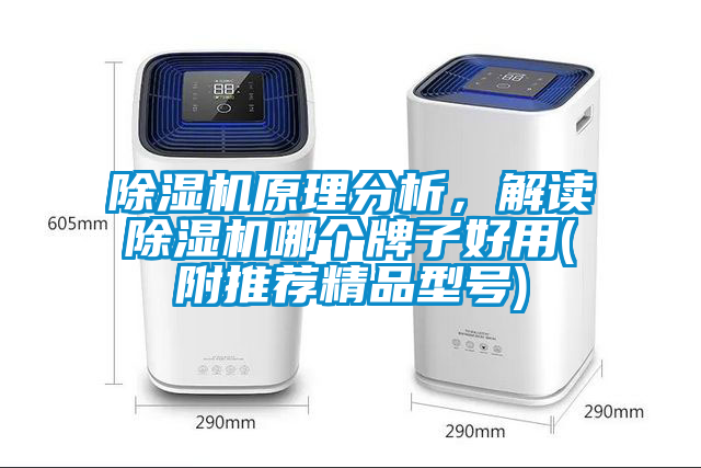 除濕機原理分析，解讀除濕機哪個牌子好用(附推薦精品型號)