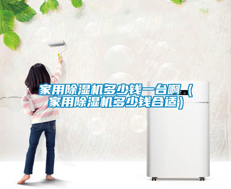 家用除濕機多少錢一臺?。矣贸凉駲C多少錢合適）
