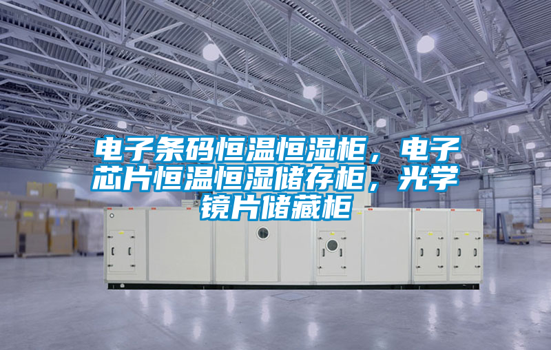 電子條碼恒溫恒濕柜，電子芯片恒溫恒濕儲存柜，光學鏡片儲藏柜