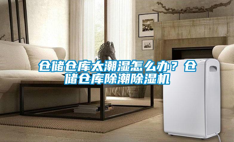 倉儲倉庫太潮濕怎么辦？倉儲倉庫除潮除濕機