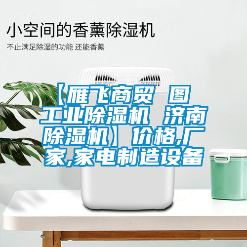 【雁飛商貿(mào) 圖  工業(yè)除濕機 濟南除濕機】價格,廠家,家電制造設(shè)備