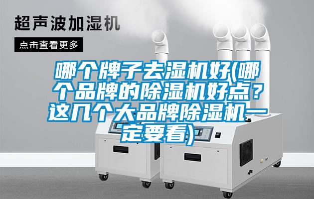 哪個牌子去濕機好(哪個品牌的除濕機好點？這幾個大品牌除濕機一定要看)