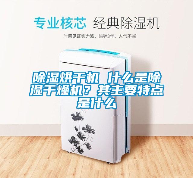 除濕烘干機(jī) 什么是除濕干燥機(jī)？其主要特點(diǎn)是什么
