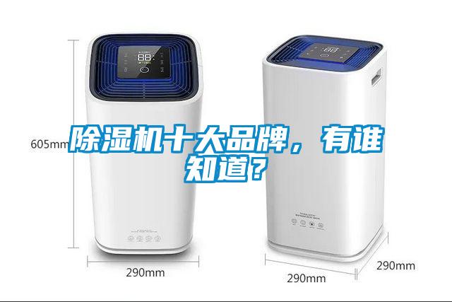 除濕機十大品牌，有誰知道？