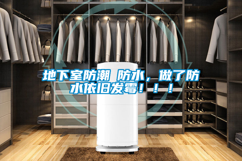 地下室防潮≠防水，做了防水依舊發(fā)霉?。?！