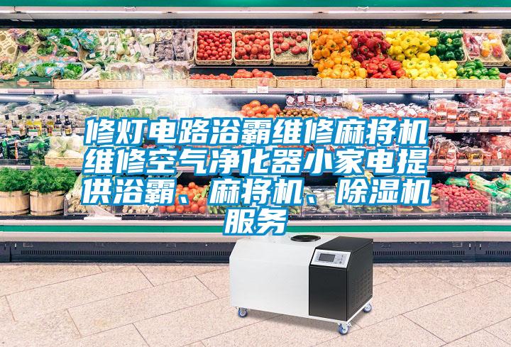 修燈電路浴霸維修麻將機維修空氣凈化器小家電提供浴霸、麻將機、除濕機服務(wù)