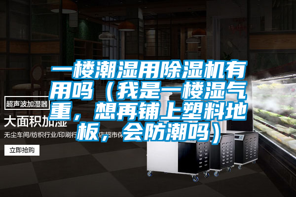 一樓潮濕用除濕機有用嗎（我是一樓濕氣重，想再鋪上塑料地板，會防潮嗎）