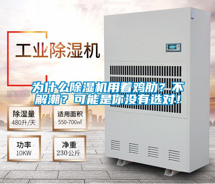 為什么除濕機(jī)用著雞肋？不解潮？可能是你沒有選對！