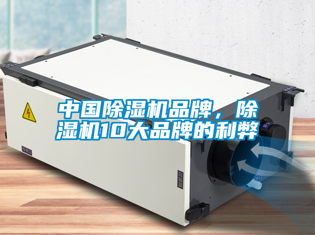 中國(guó)除濕機(jī)品牌，除濕機(jī)10大品牌的利弊