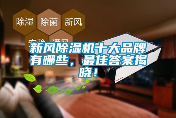 新風除濕機十大品牌有哪些，最佳答案揭曉！