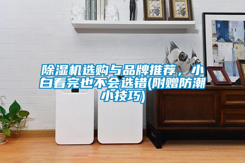 除濕機(jī)選購與品牌推薦，小白看完也不會選錯(附贈防潮小技巧)