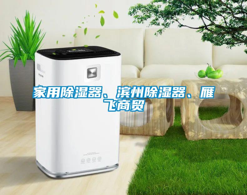 家用除濕器、濱州除濕器、雁飛商貿(mào)
