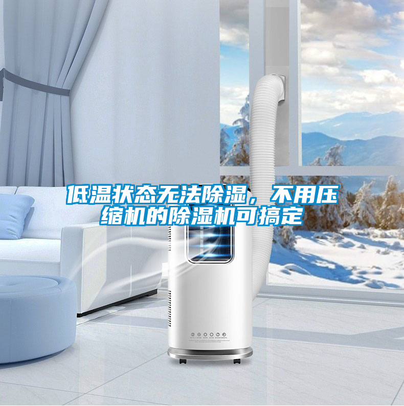低溫狀態(tài)無法除濕，不用壓縮機的除濕機可搞定