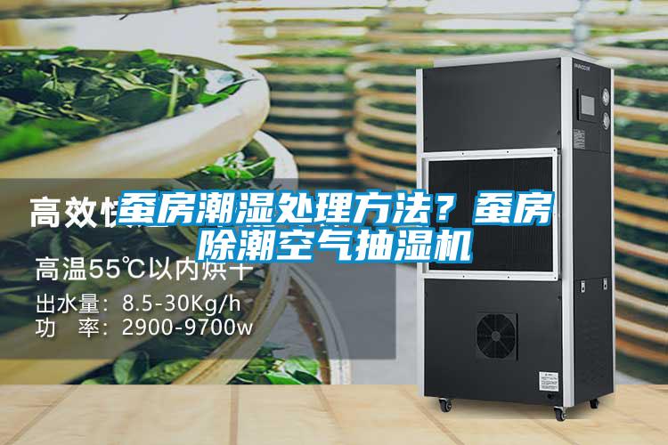 蠶房潮濕處理方法？蠶房除潮空氣抽濕機