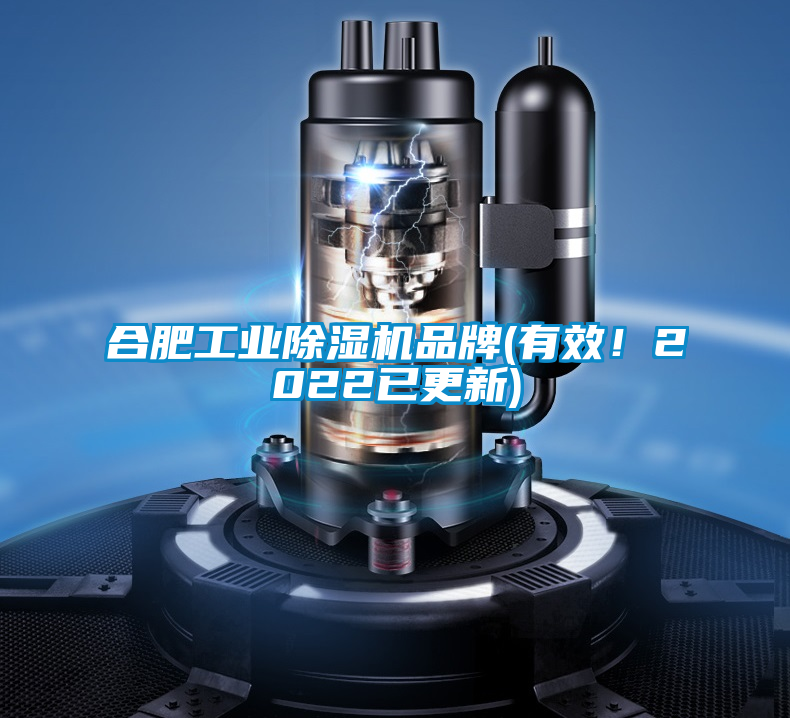 合肥工業(yè)除濕機(jī)品牌(有效！2022已更新)