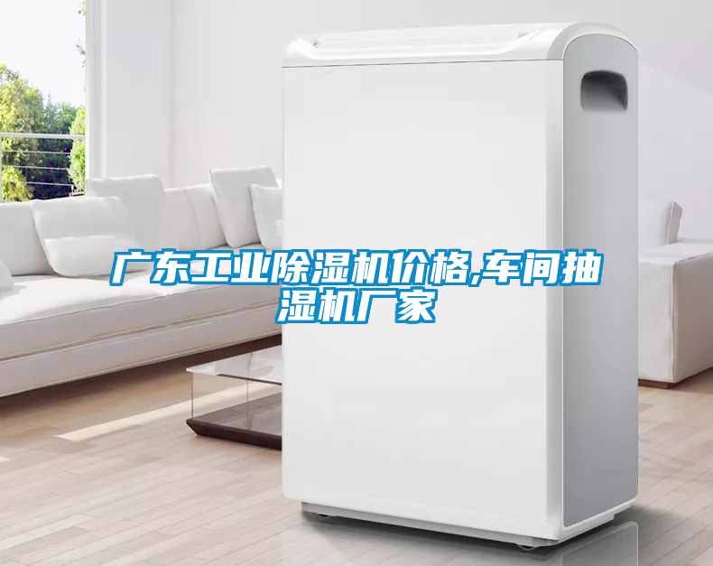 廣東工業(yè)除濕機(jī)價格,車間抽濕機(jī)廠家