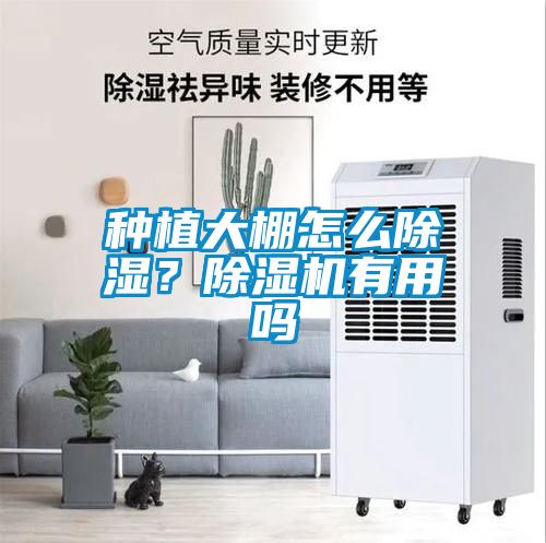 種植大棚怎么除濕？除濕機(jī)有用嗎