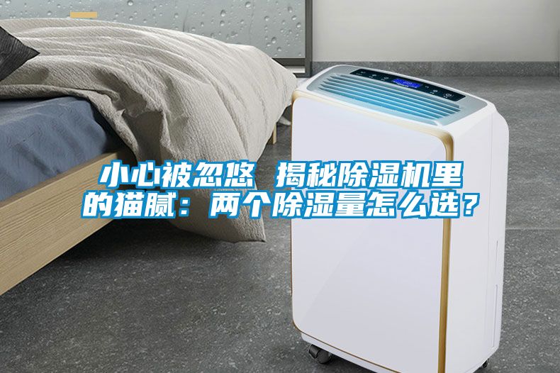 小心被忽悠 揭秘除濕機(jī)里的貓膩：兩個(gè)除濕量怎么選？