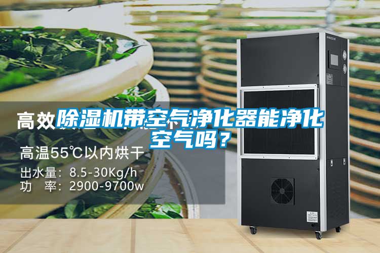 除濕機(jī)帶空氣凈化器能凈化空氣嗎？