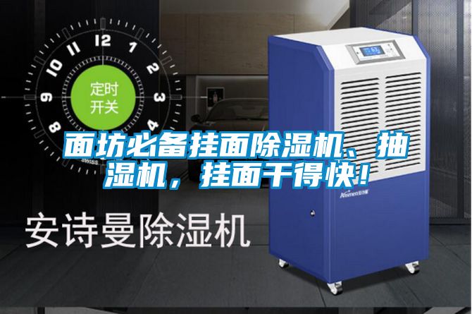 面坊必備掛面除濕機(jī)、抽濕機(jī)，掛面干得快！