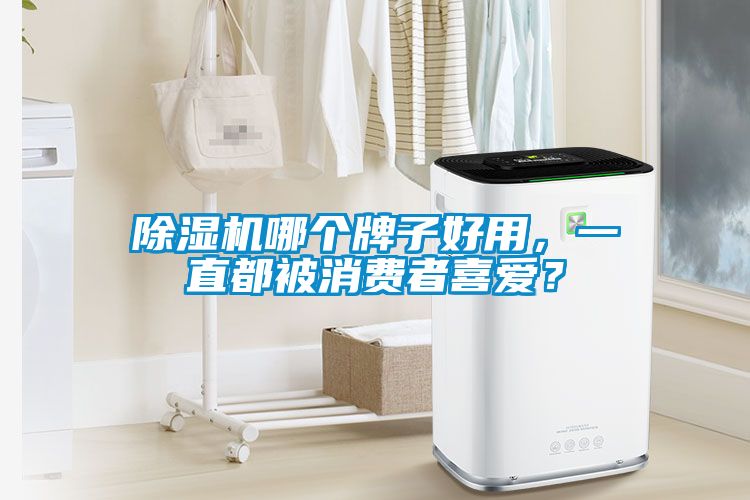 除濕機(jī)哪個(gè)牌子好用，一直都被消費(fèi)者喜愛(ài)？