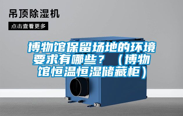 博物館保留場地的環(huán)境要求有哪些？（博物館恒溫恒濕儲藏柜）
