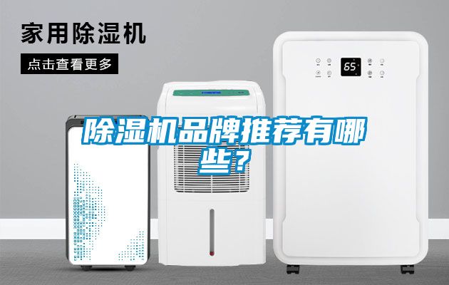 除濕機(jī)品牌推薦有哪些？