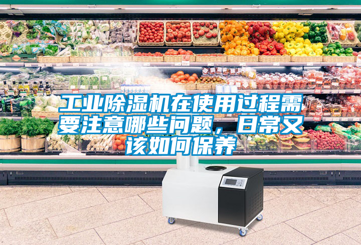 工業(yè)除濕機(jī)在使用過程需要注意哪些問題，日常又該如何保養(yǎng)