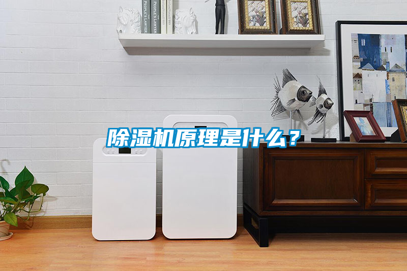 除濕機(jī)原理是什么？