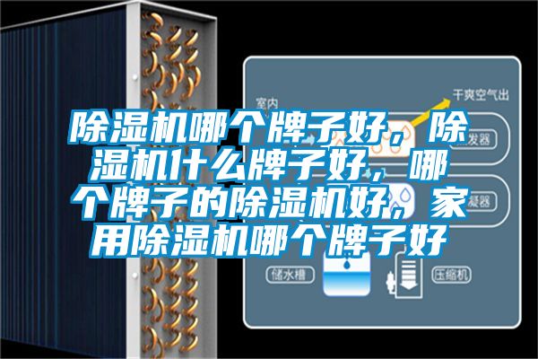 除濕機(jī)哪個(gè)牌子好，除濕機(jī)什么牌子好，哪個(gè)牌子的除濕機(jī)好，家用除濕機(jī)哪個(gè)牌子好