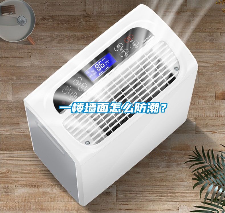 一樓墻面怎么防潮？