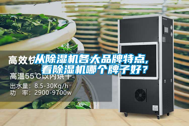 從除濕機(jī)各大品牌特點(diǎn), 看除濕機(jī)哪個(gè)牌子好？