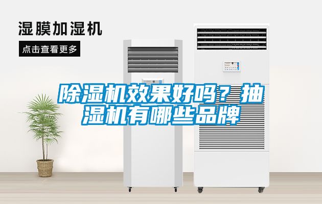 除濕機(jī)效果好嗎？抽濕機(jī)有哪些品牌