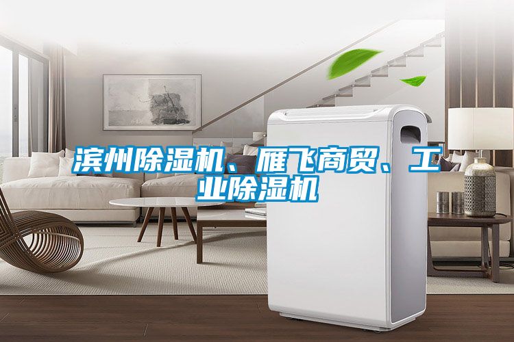 濱州除濕機、雁飛商貿、工業(yè)除濕機
