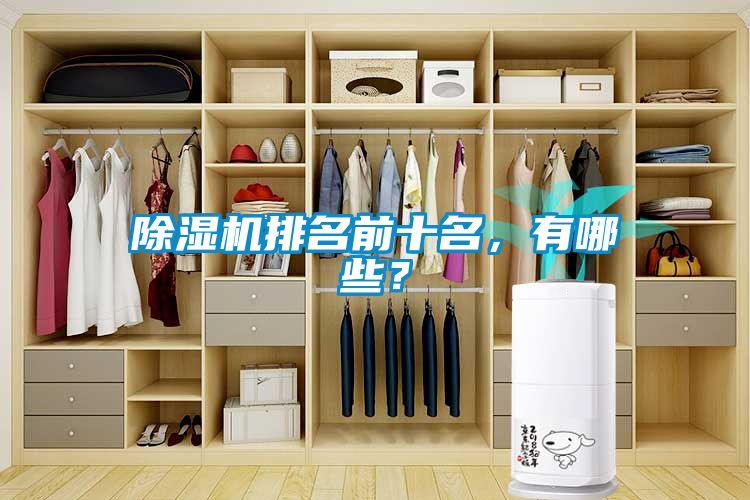 除濕機(jī)排名前十名，有哪些？