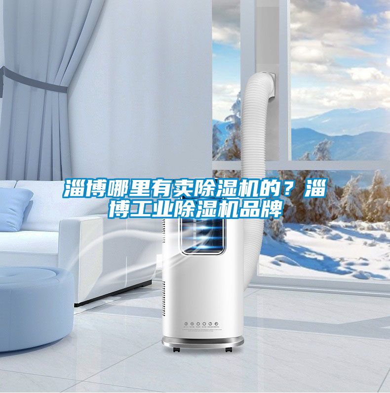 淄博哪里有賣除濕機(jī)的？淄博工業(yè)除濕機(jī)品牌