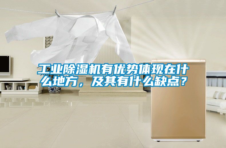 工業(yè)除濕機(jī)有優(yōu)勢體現(xiàn)在什么地方，及其有什么缺點(diǎn)？