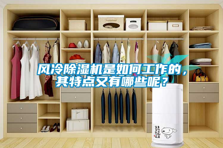 風冷除濕機是如何工作的，其特點又有哪些呢？