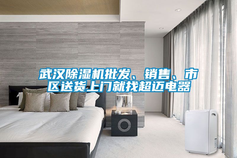 武漢除濕機(jī)批發(fā)、銷售、市區(qū)送貨上門就找超邁電器