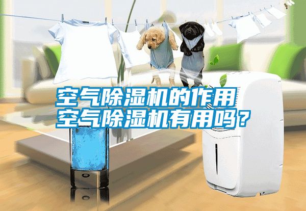 空氣除濕機的作用 空氣除濕機有用嗎？