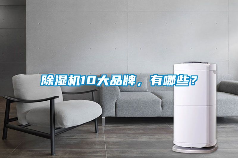 除濕機10大品牌，有哪些？