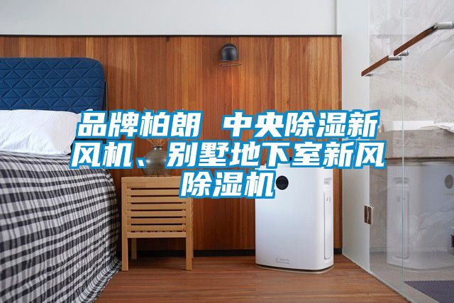 品牌柏朗 中央除濕新風(fēng)機(jī)、別墅地下室新風(fēng)除濕機(jī)