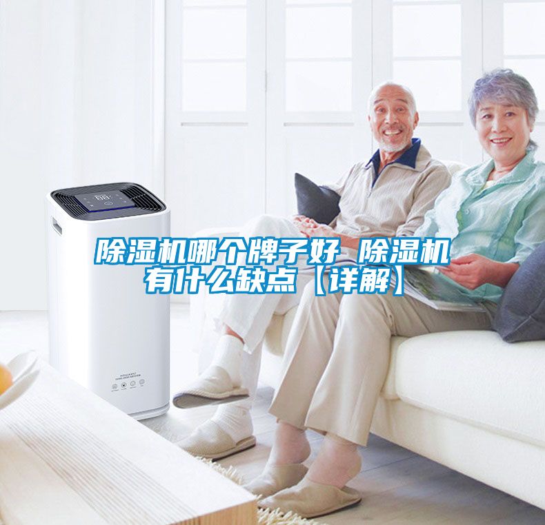 除濕機(jī)哪個牌子好 除濕機(jī)有什么缺點(diǎn)【詳解】
