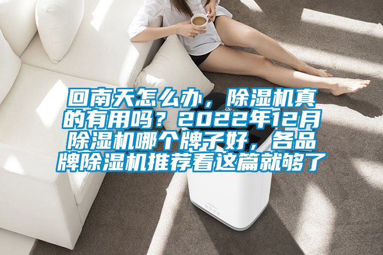 回南天怎么辦，除濕機(jī)真的有用嗎？2022年12月除濕機(jī)哪個(gè)牌子好，各品牌除濕機(jī)推薦看這篇就夠了