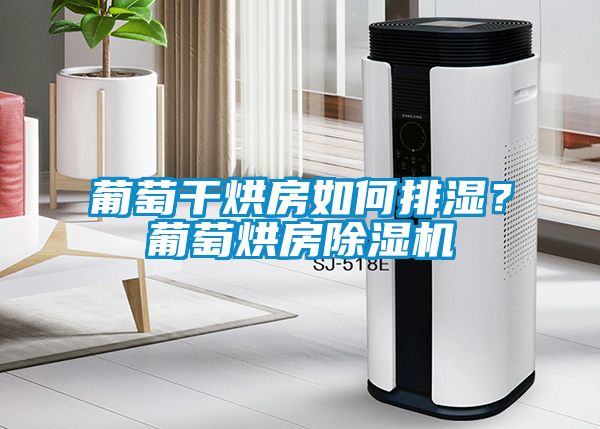 葡萄干烘房如何排濕？葡萄烘房除濕機(jī)