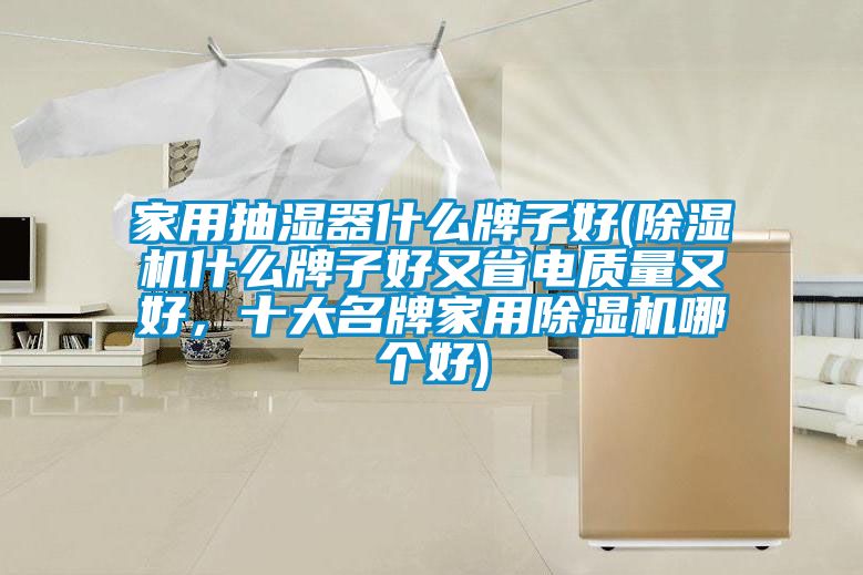 家用抽濕器什么牌子好(除濕機(jī)什么牌子好又省電質(zhì)量又好，十大名牌家用除濕機(jī)哪個(gè)好)
